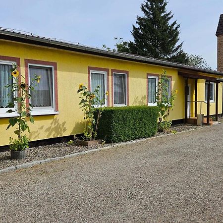 Ferienwohnungen "Zur Schamper Muehle" Gotthun Exteriör bild