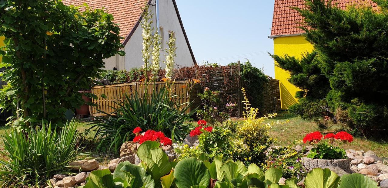 Ferienwohnungen "Zur Schamper Muehle" Gotthun Exteriör bild